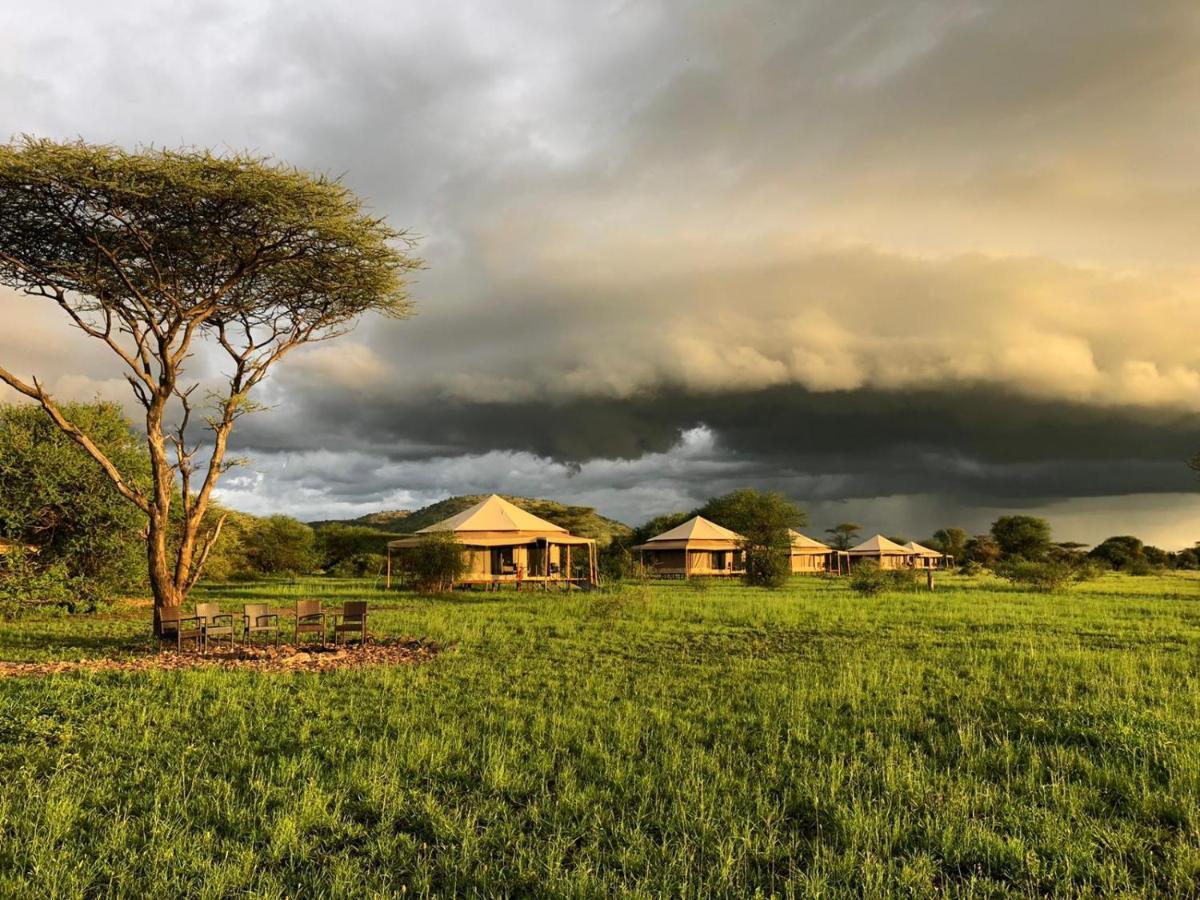 Serengeti Sound Of Silence Villa Exterior foto