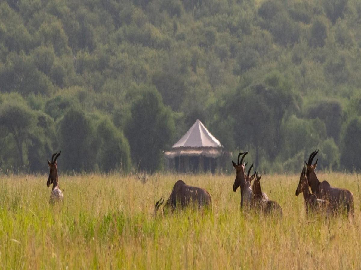 Serengeti Sound Of Silence Villa Exterior foto