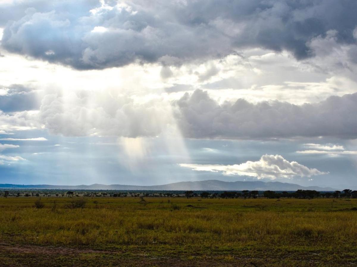 Serengeti Sound Of Silence Villa Exterior foto