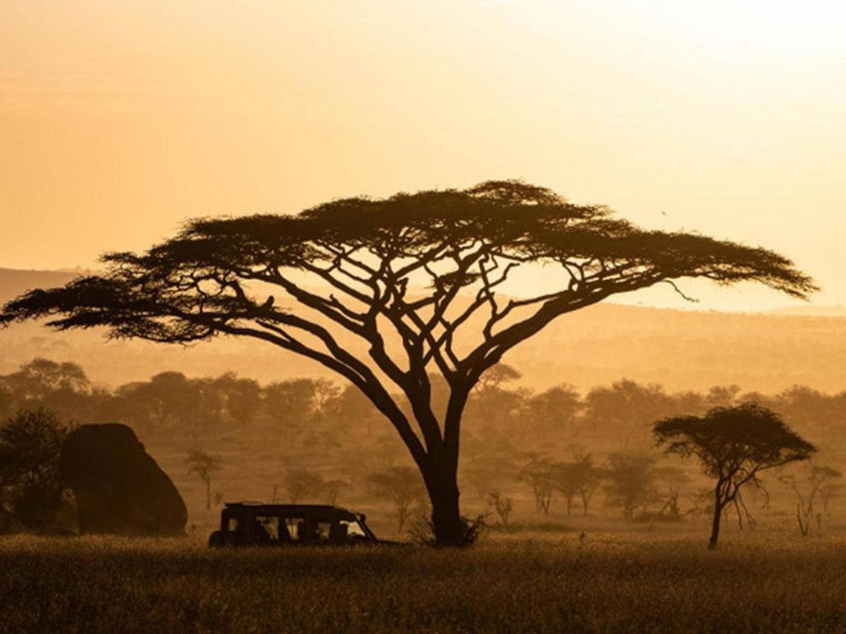 Serengeti Sound Of Silence Villa Exterior foto