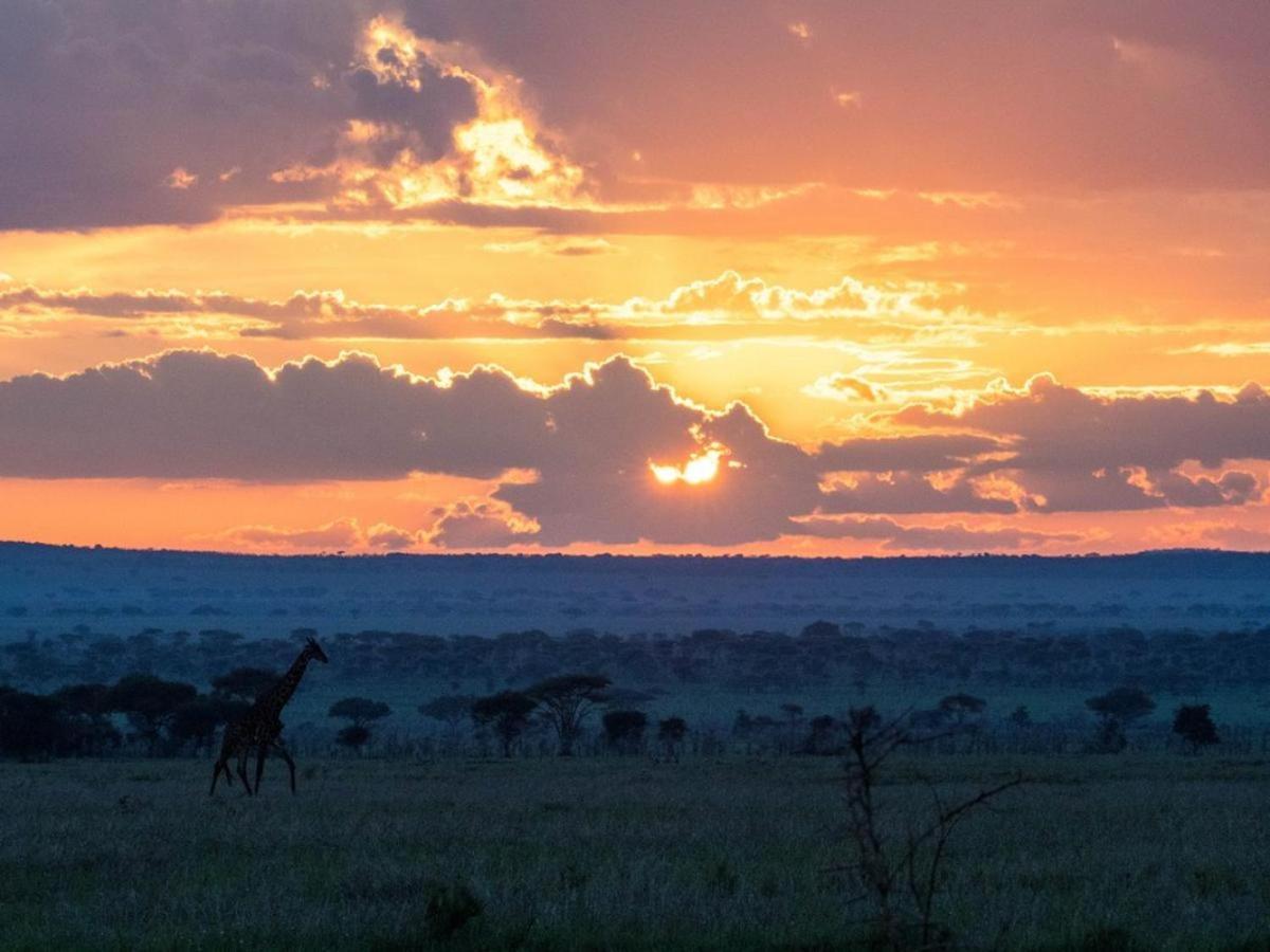 Serengeti Sound Of Silence Villa Exterior foto