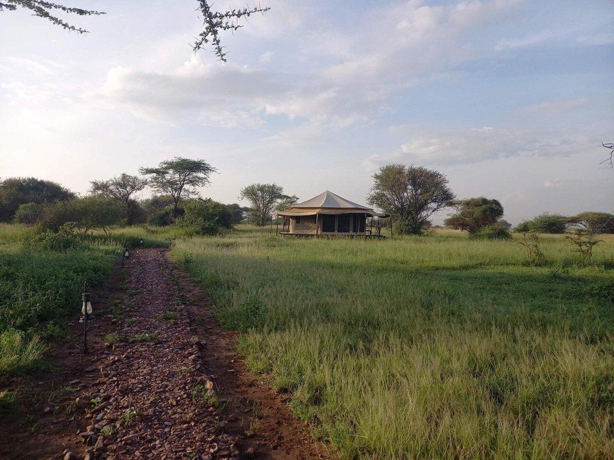 Serengeti Sound Of Silence Villa Exterior foto