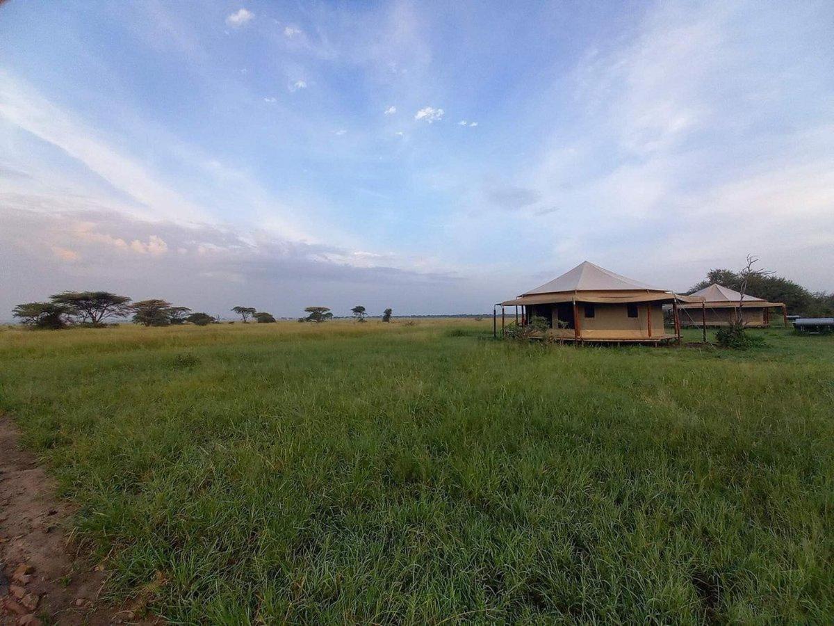 Serengeti Sound Of Silence Villa Exterior foto