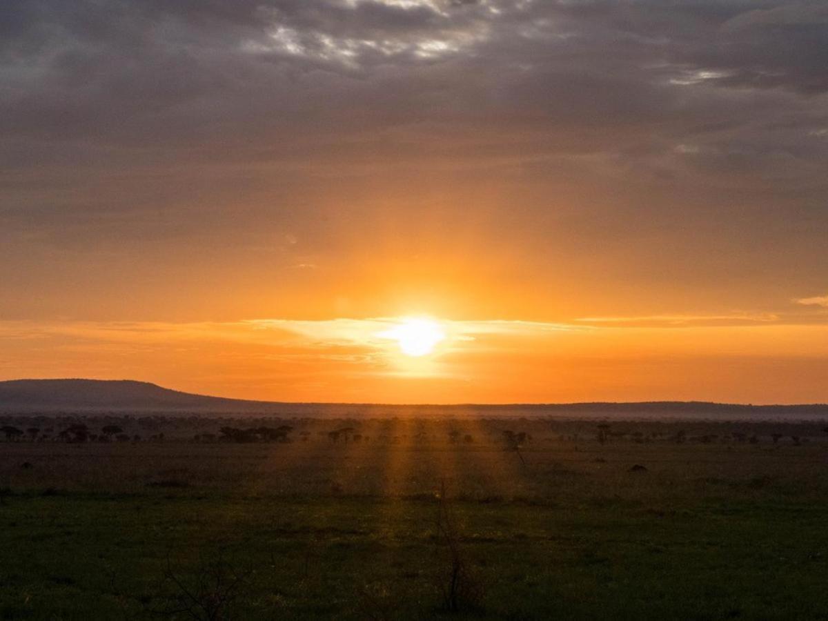 Serengeti Sound Of Silence Villa Exterior foto