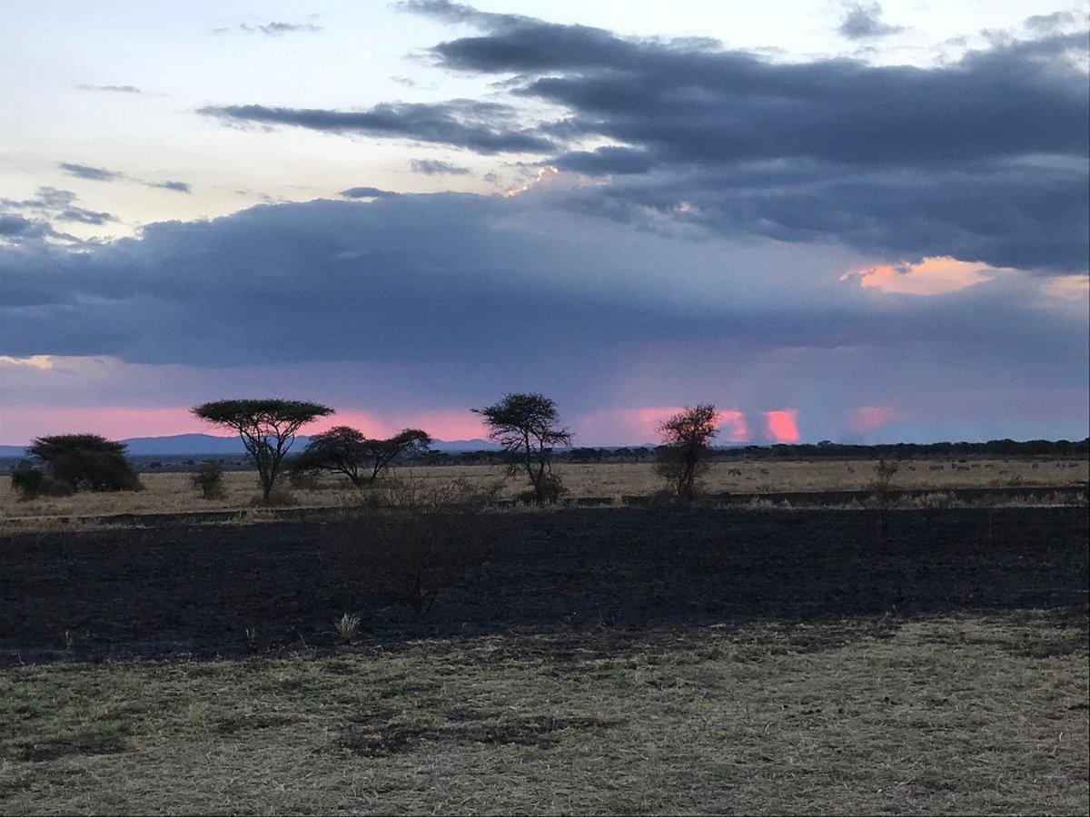 Serengeti Sound Of Silence Villa Exterior foto